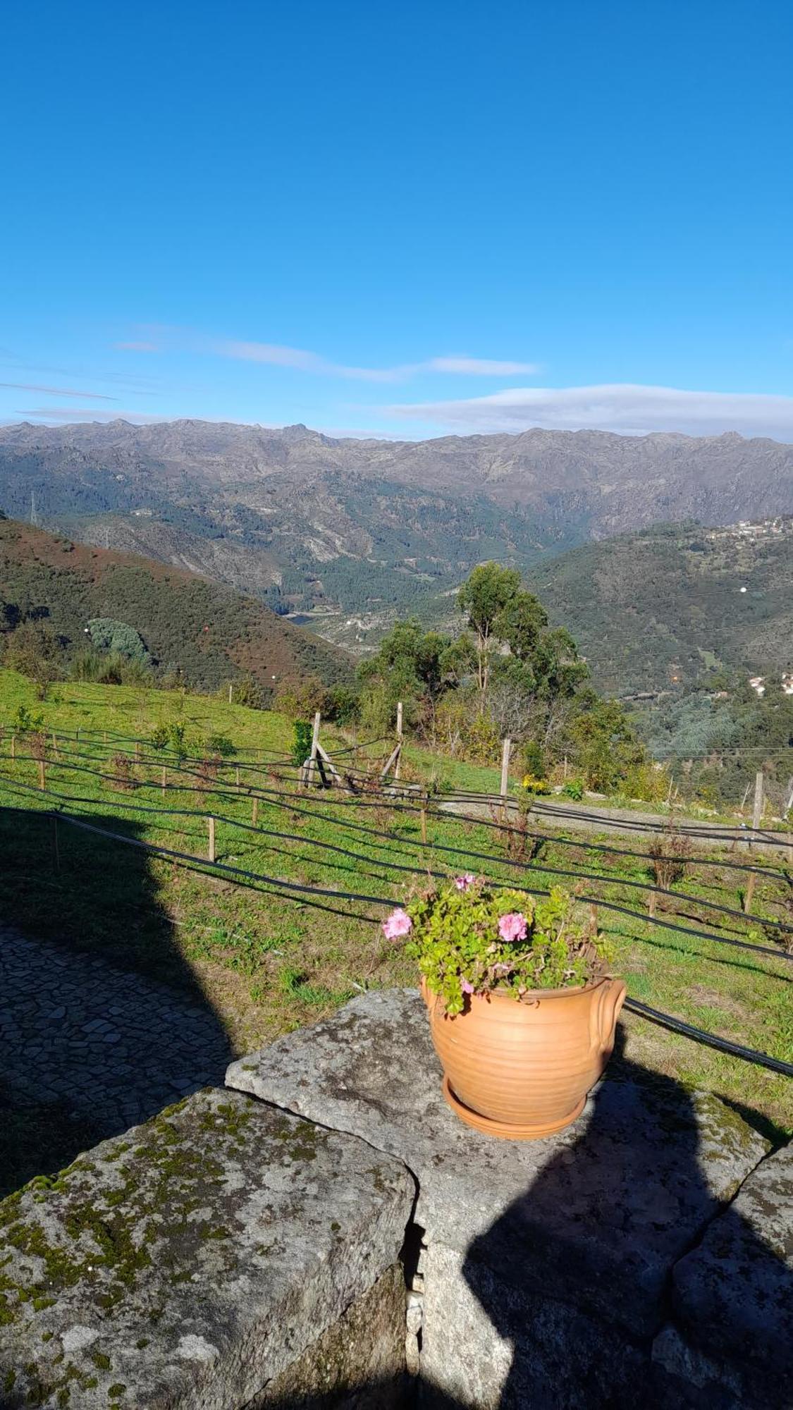 Hostal Quinta da Riba Má Santa Leocadia Exterior foto